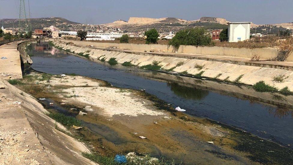 Polluted river