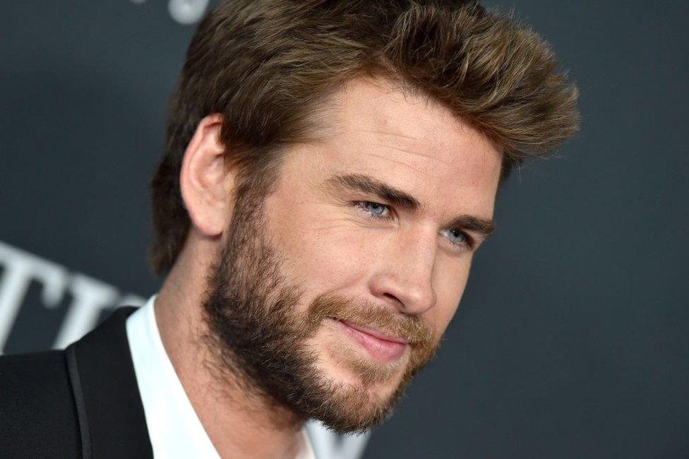 Liam Hemsworth on a red carpet