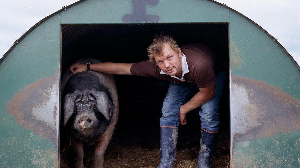 Jimmy Doherty and a pig