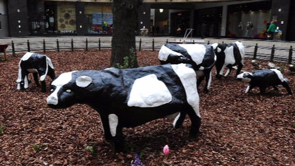 Milton Keynes cows