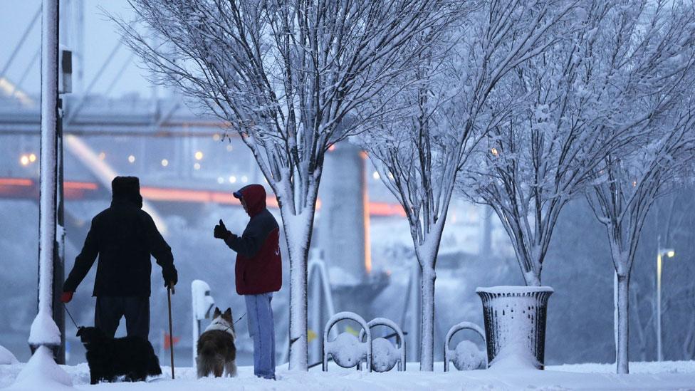 Dog walkers in Nashville, Tennessee