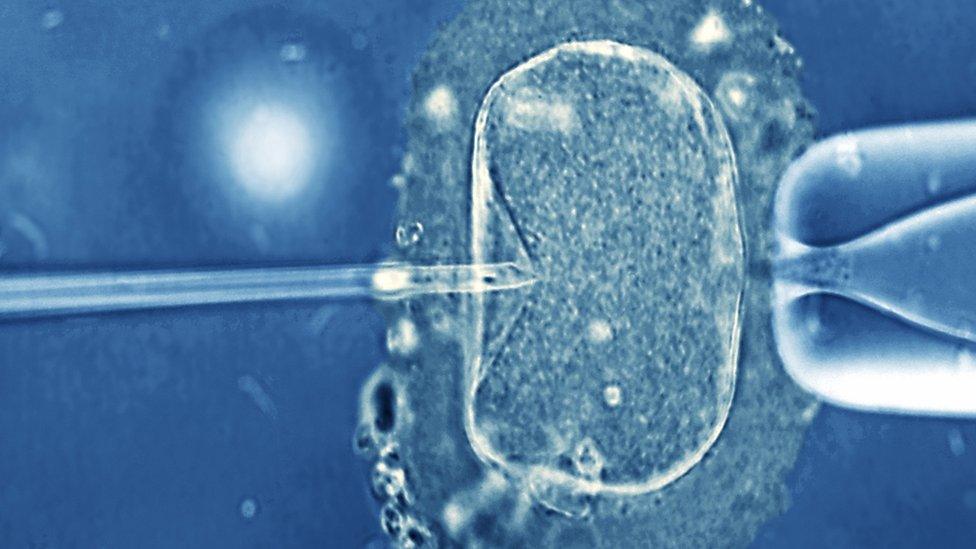 This type of IVF is known as intra-cytoplasmic sperm injection (ICSI). The injected sperm fertilizes the egg and the resulting zygote is cultured until it reaches an early stage of embryonic development. It is then implanted into the uterus