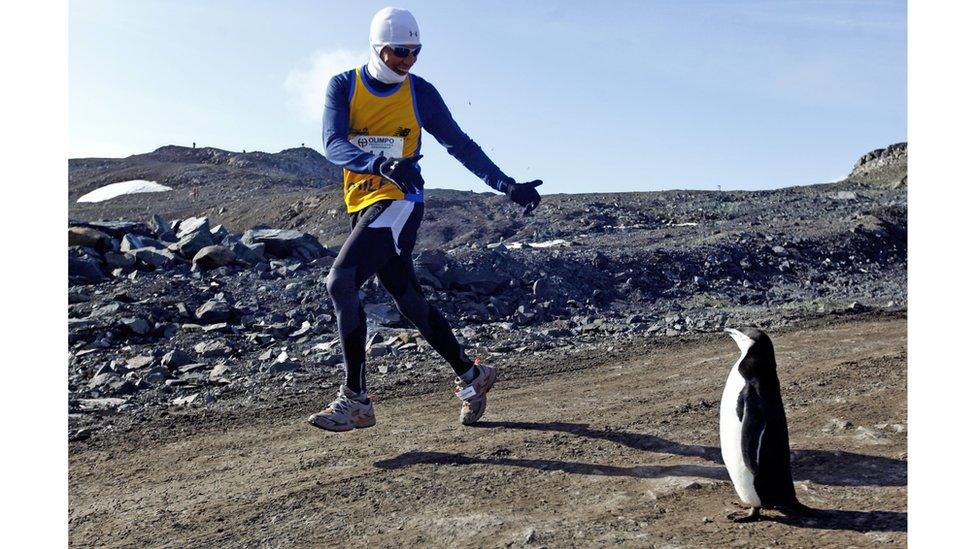 A-runner-gives-a-thumbs-up-to-a-penguin-staring-at-him.