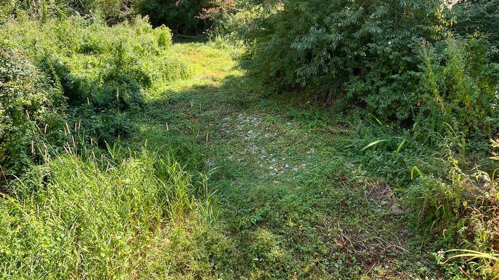 Dried up river bed