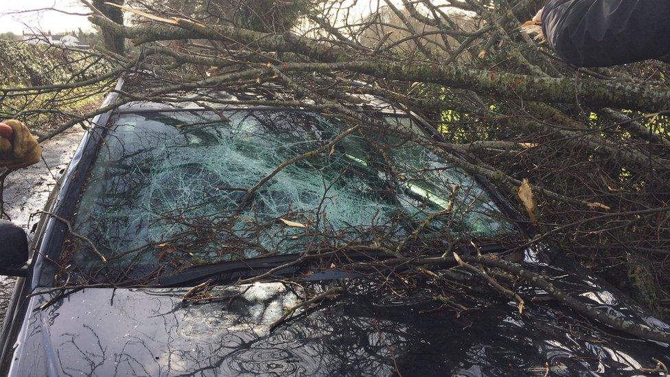 A tree damaged the car of cameraman Ian Friswell as he was filming in Gresford, Wrexham