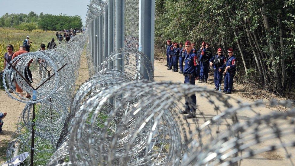 Migrants and refugees walk near razor-wire along a 3-meter-high fence secured by Hungarian police (R) at the official border crossing between Serbia and Hungary