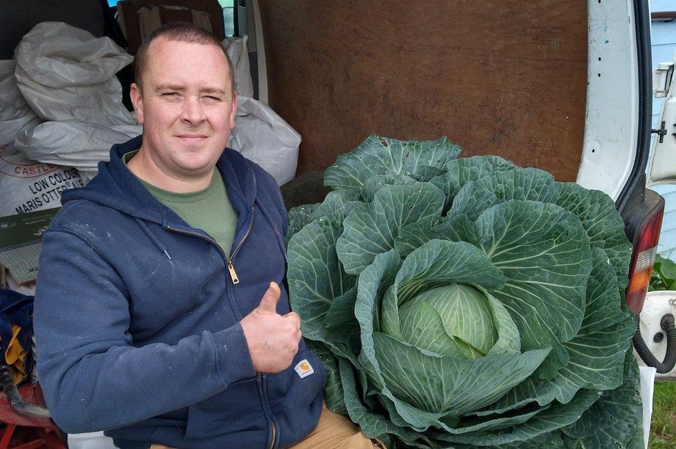 Dominic Driscoll with his giant cabbage