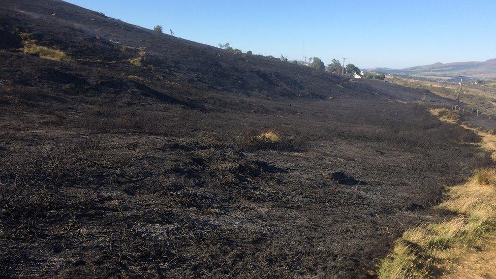 Charred remains of the scene in Carmel on Tuesday morning