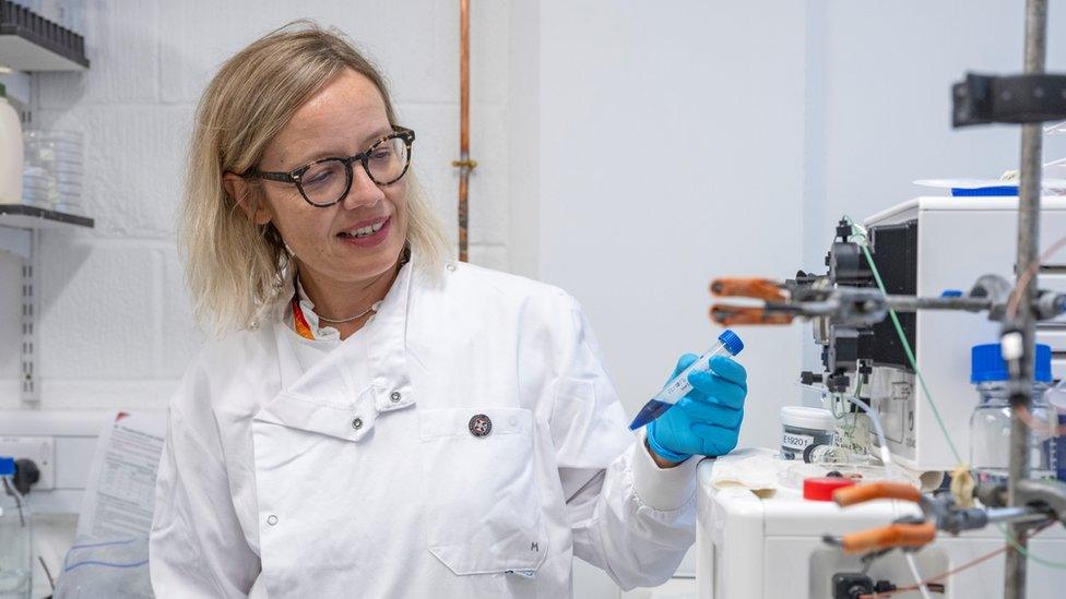 Professor Grazia De Angelis in her lab