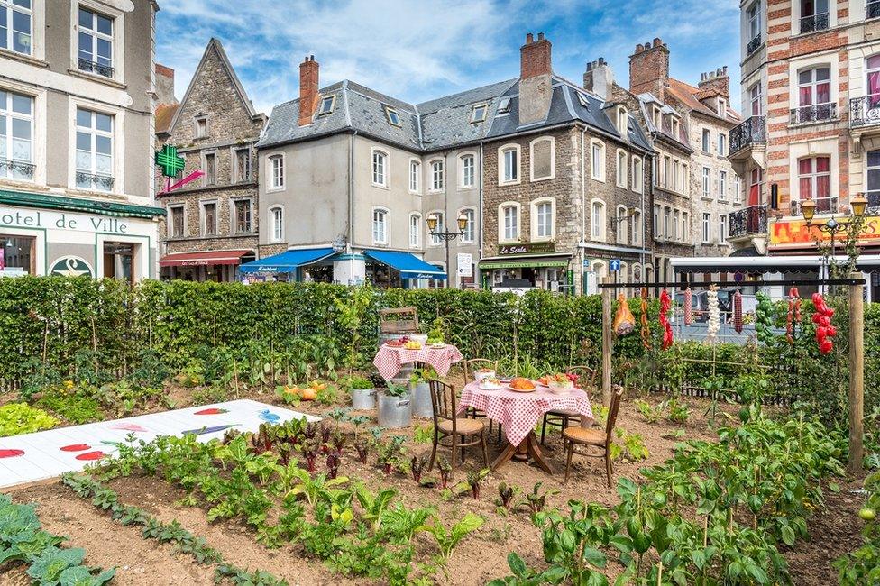 An allotment garden with a street in the background