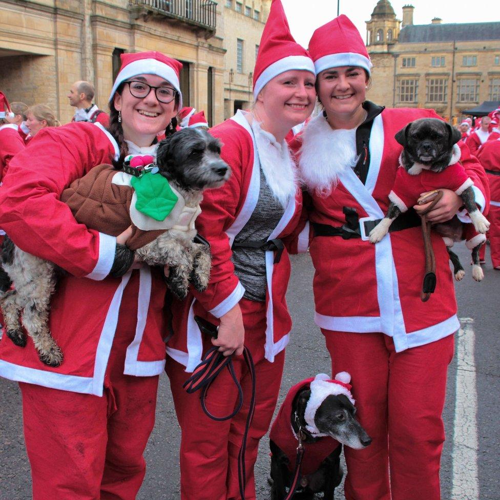 Dogs in the Santa Run