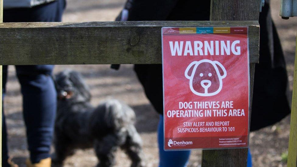 Dog theft warning sign