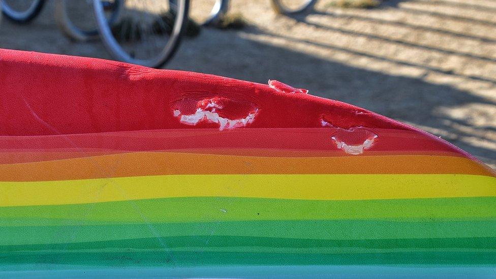 Otter bite marks on a surfboard