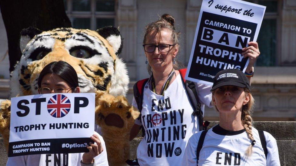 Protesters in London hold anti-trophy hunting placards in June 2023