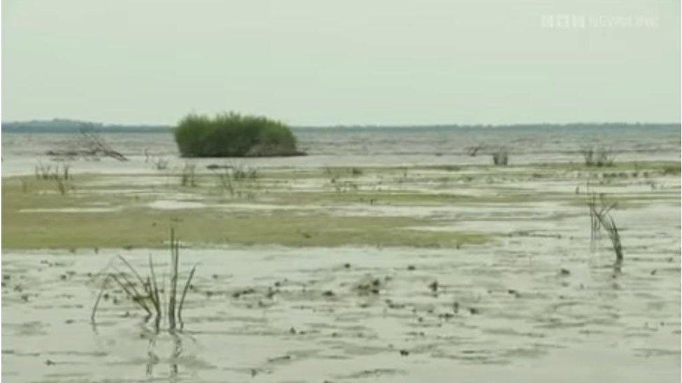 Lough Neagh