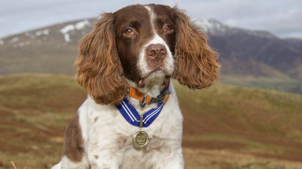 Max with his order of merit medal around his neck