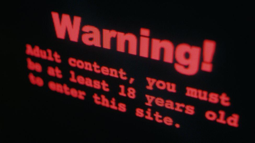 Stock image of a warning on a pornographic website