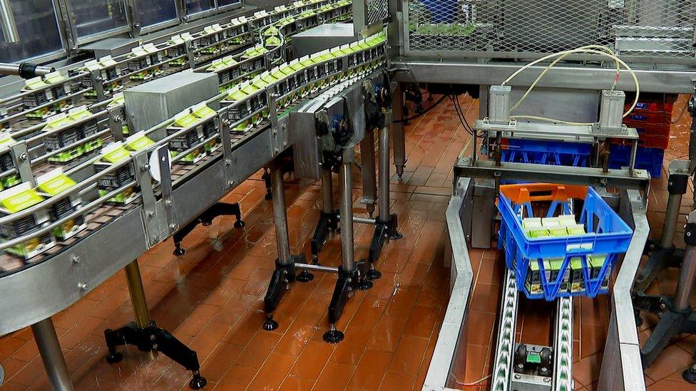 Milk cartons being packed into crates