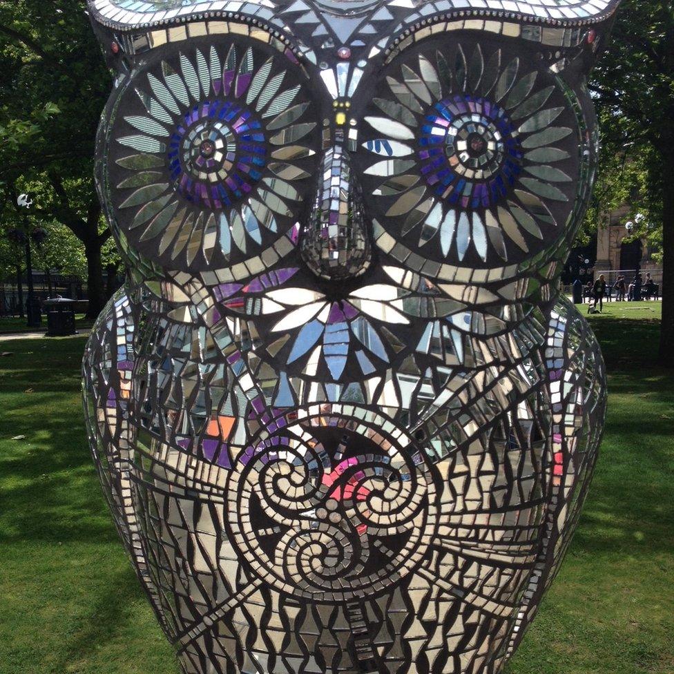 A shiny owl close up, with a garden in the background