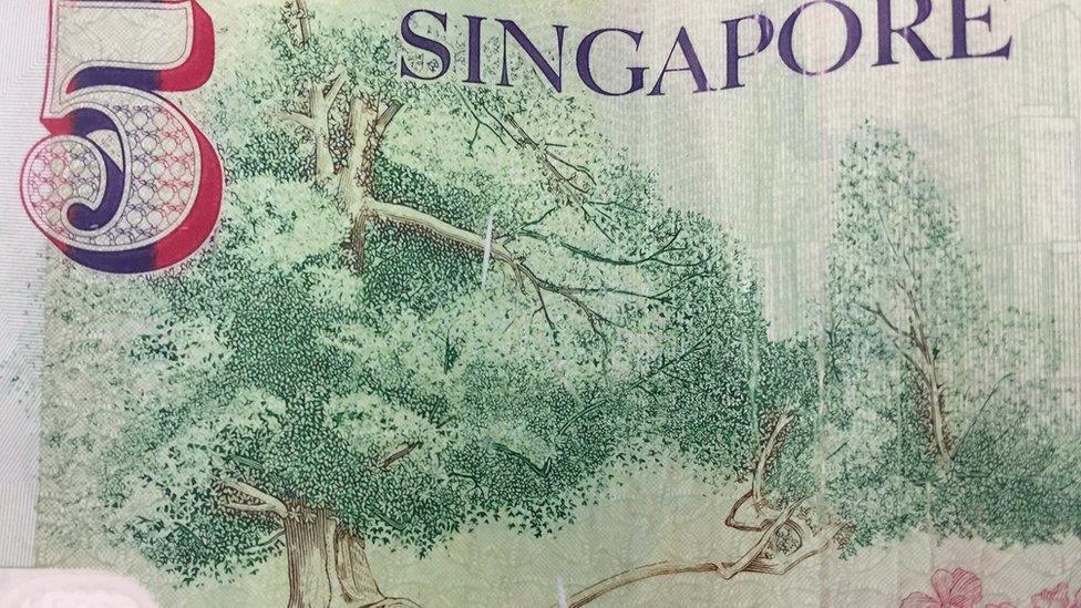 Singapore five dollar note