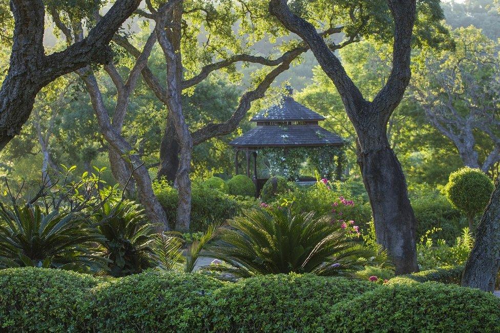 A garden with a gazebo