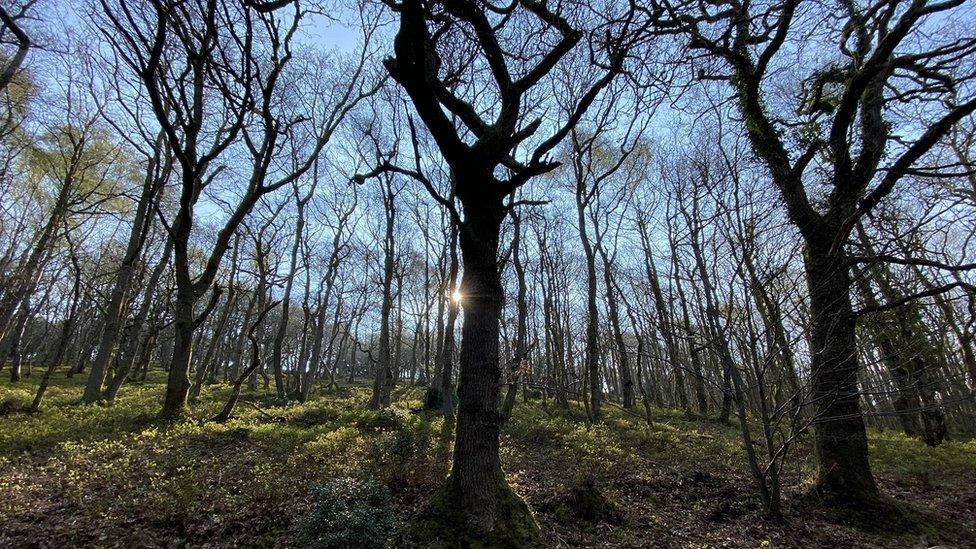 The Quantock Hills in Somerset