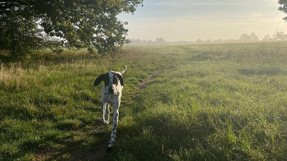 THURSDAY - Windsor Great Park