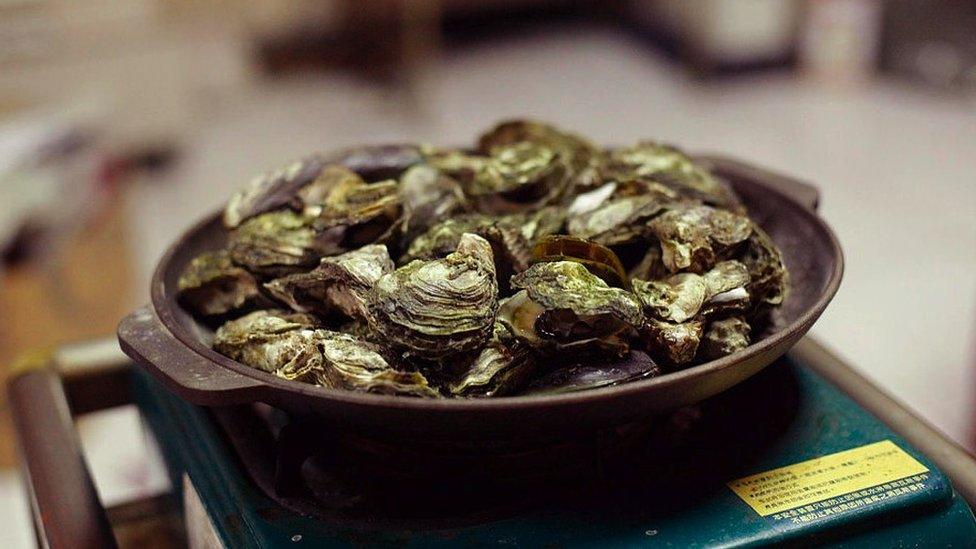 Freshly harvested oysters in bowl waiting to be packed