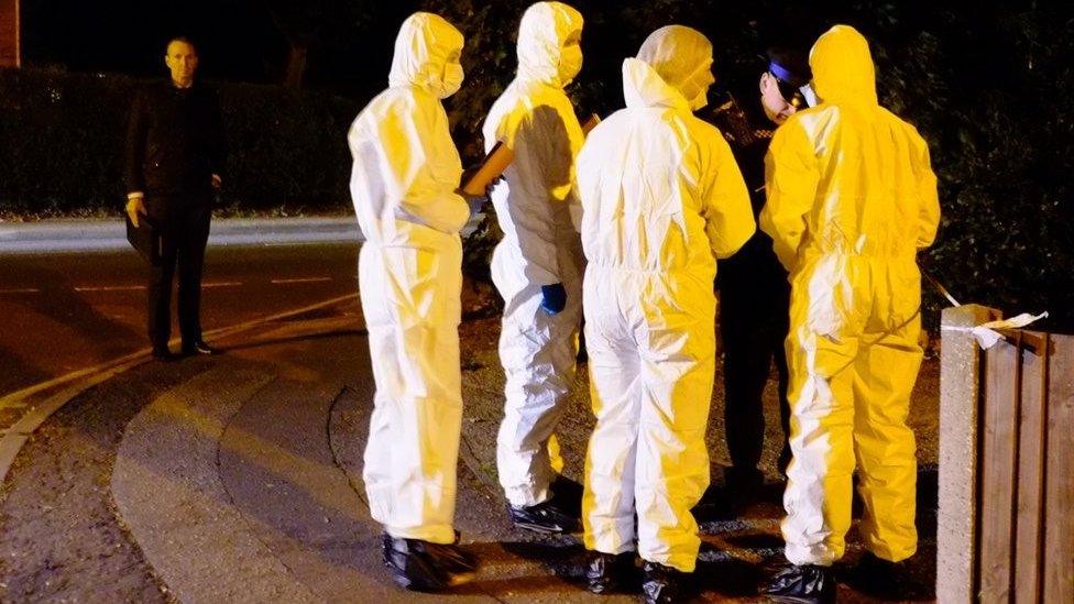 Forensics officers at scene of dog attack in Colchester