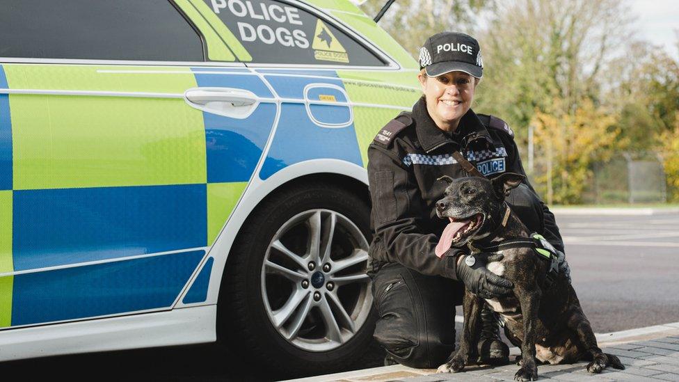 Claire crouching down in front of a police car with Stella