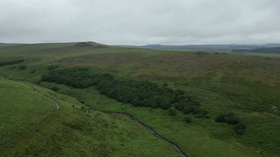 Dartmoor