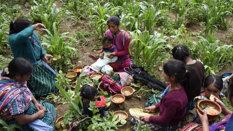 Indigenous people in Guatemala (file picture)