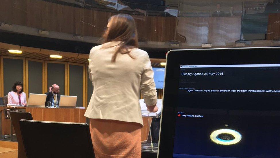 Kirsty Williams speaking for the first time as education secretary in the chamber, as photographed by the then UKIP Wales leader