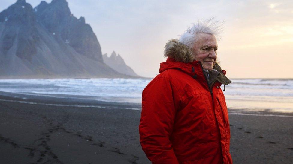 david-attenborough.