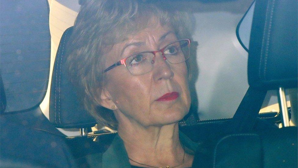 Andrea Leadsom