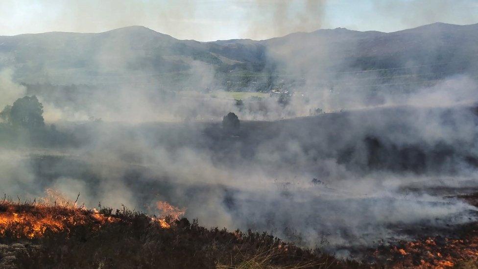 Forest burning with mountain in background