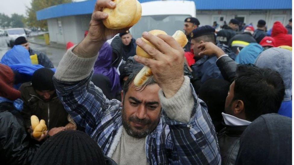 A migrant takes Red Cross supplies on the Croatia-Serbia border, 19 October 2015