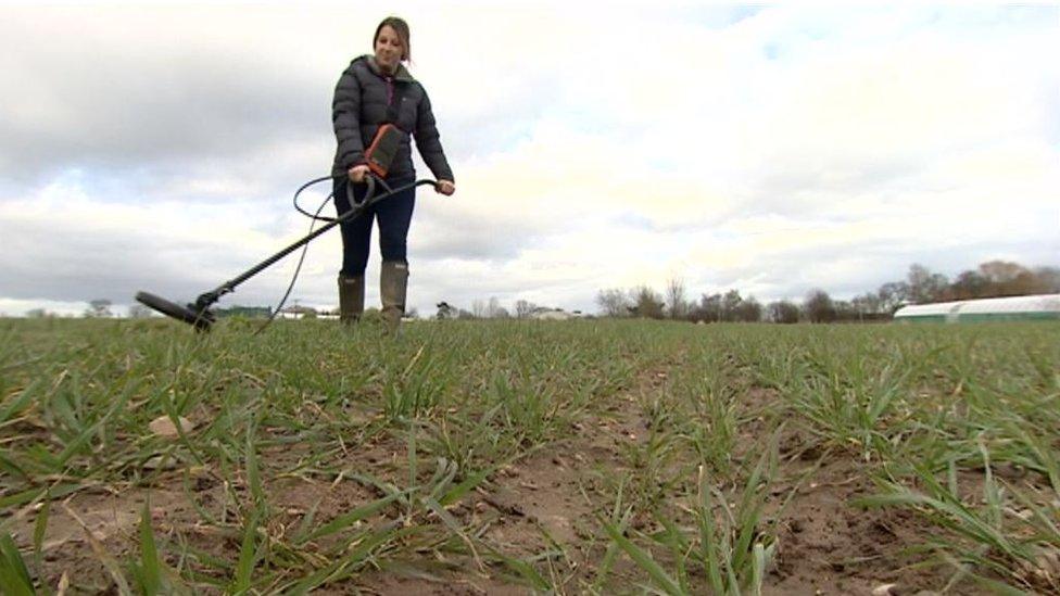 Researcher Emily Forbes uses a detector to find slugs with trackers inside them in the field