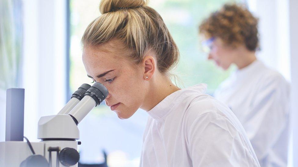 Student looks into a microscope