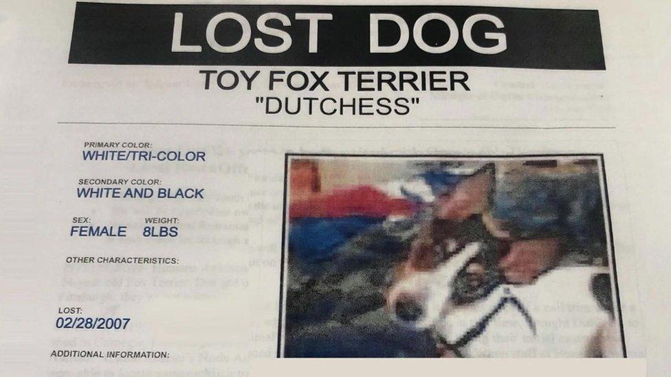 Missing poster for Dutchess