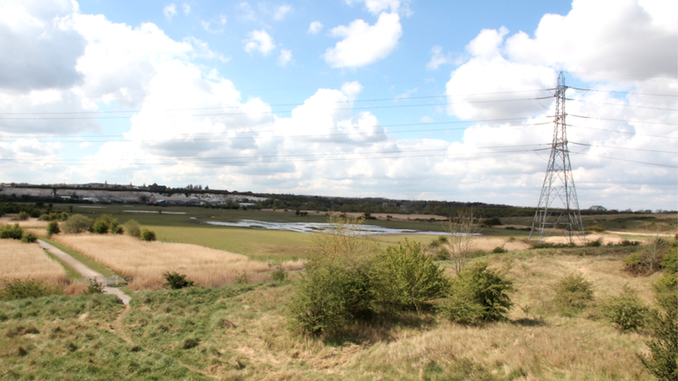 Swanscombe Peninsula SSSI