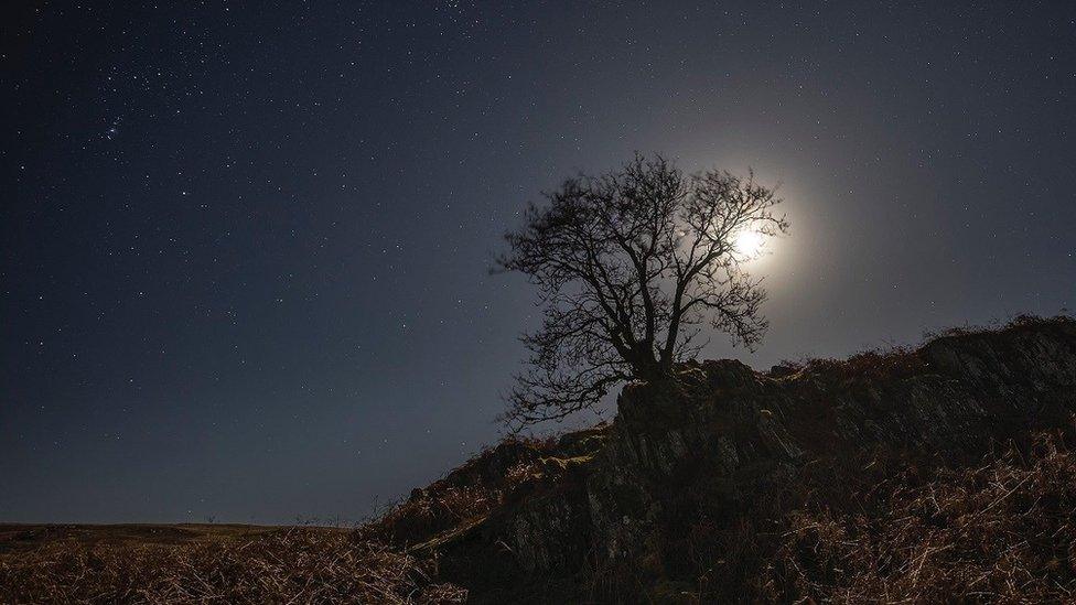 The night sky above the Elan Valley