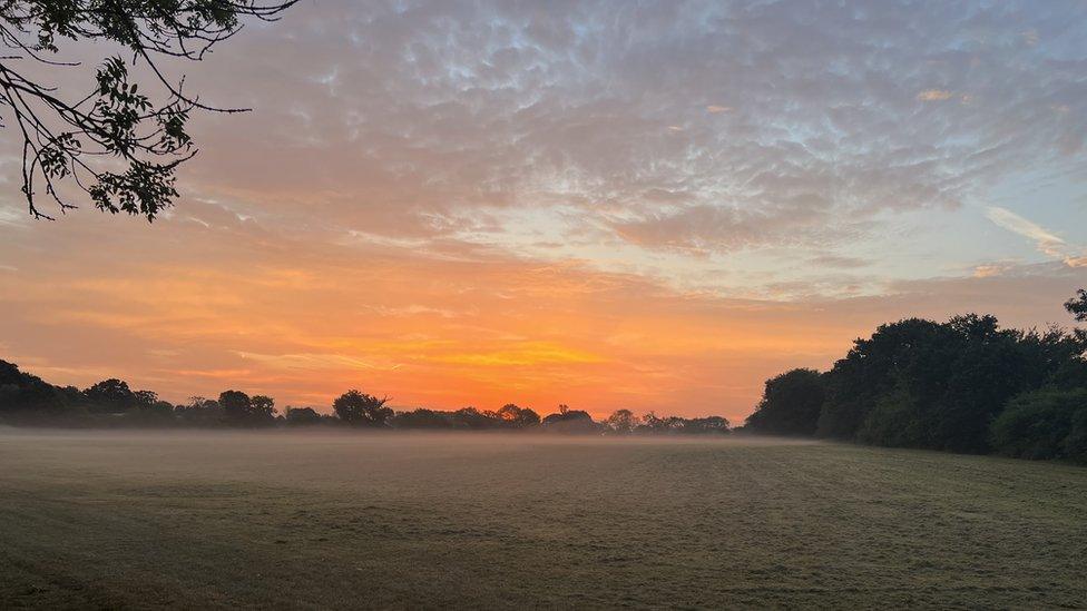 Warfield in Berkshire at dawn