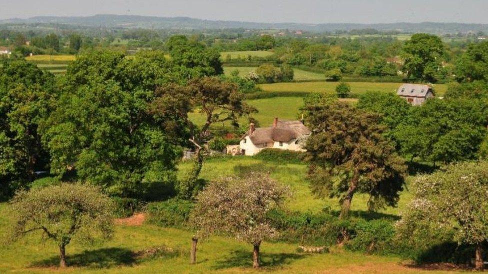 Clyst Valley Regional Park