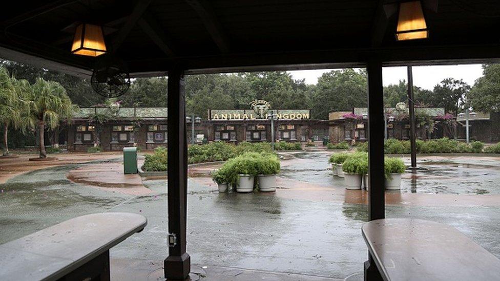 The entrance to the Animal Kingdom theme park at Walt Disney World