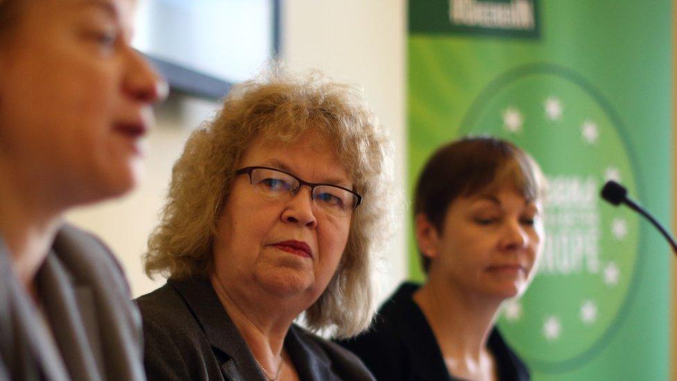 Green MEP Jean Lambert