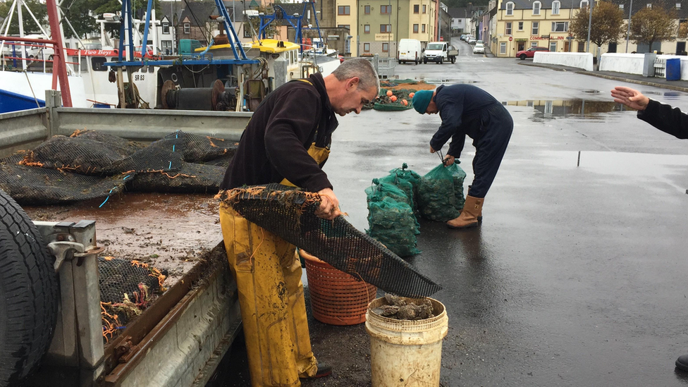 Oyster fisherman bagging oysters