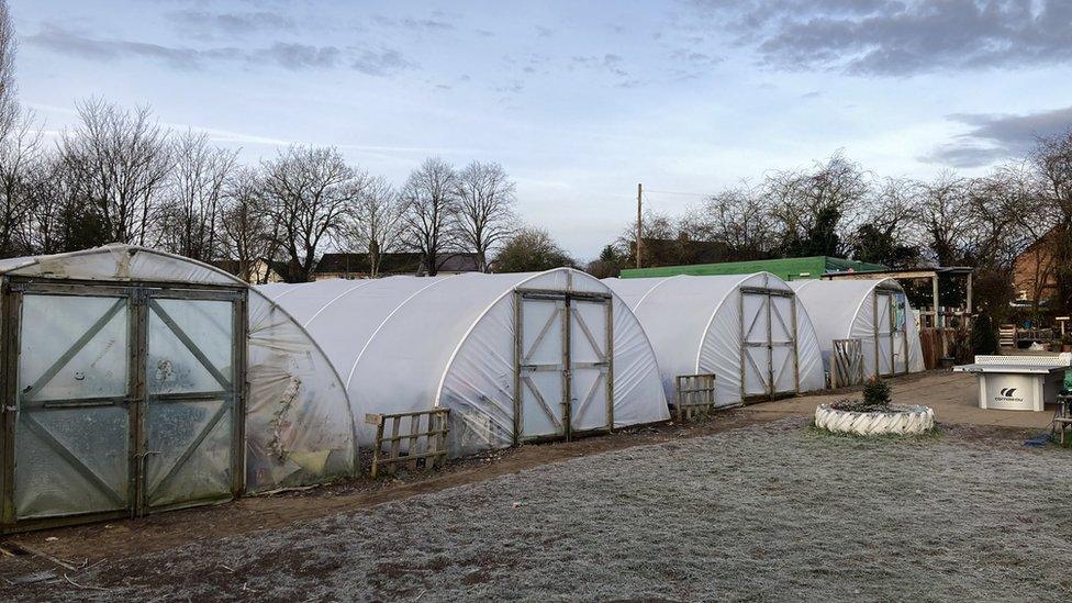 Green Patch community garden, Kettering