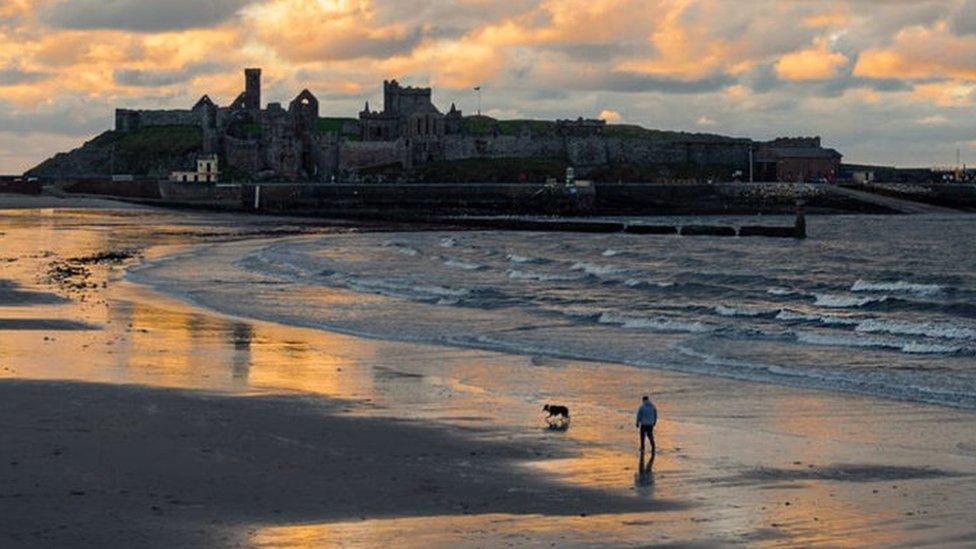 Man walking dog on Peel Beach