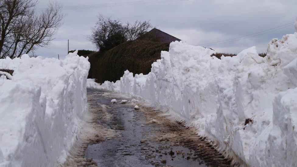 Freshly cleared roads on Tuesday